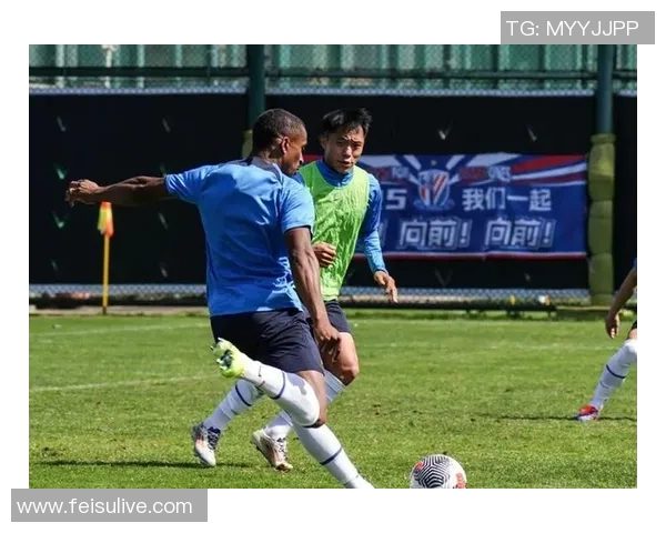 2010年申花与哄队激战回顾：一场难忘的足球盛宴与激情对决