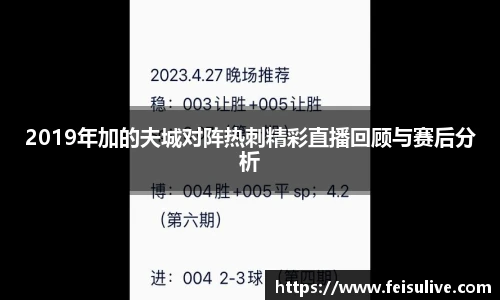 飞速体育
