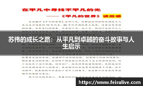 苏伟的成长之路：从平凡到卓越的奋斗故事与人生启示