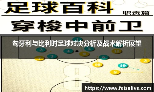 匈牙利与比利时足球对决分析及战术解析展望