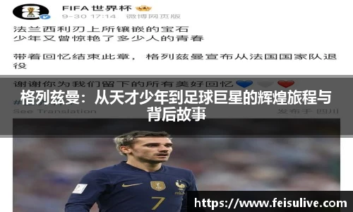 飞速体育